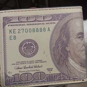 Unique Money Print Wallet